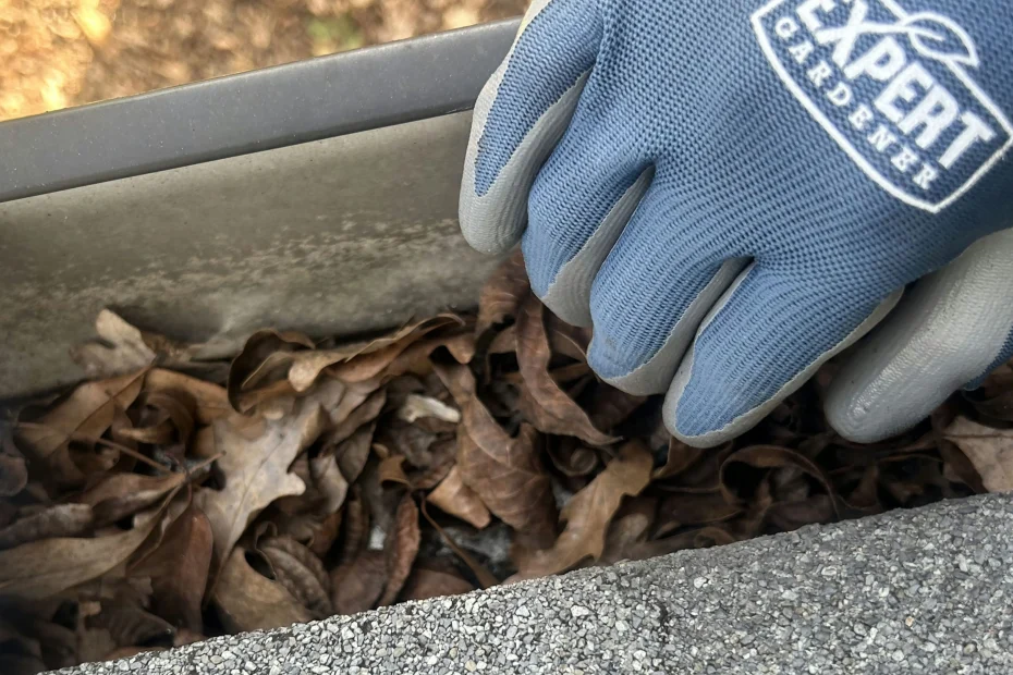 Gutter Cleaning Palatine