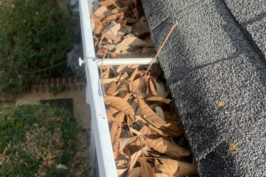 Gutter Cleaning Palatine