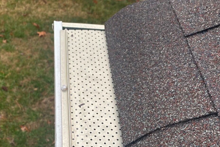 Gutter Cleaning Palatine