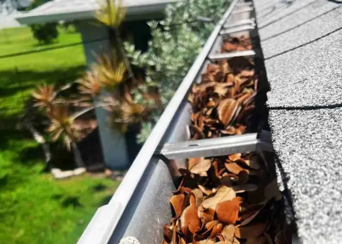 Gutter Cleaning Palatine home page